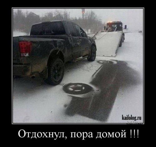 100 картинок для поднятия настроения!