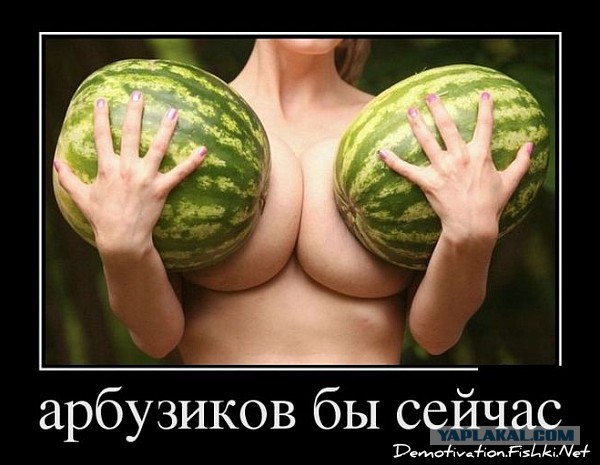 Глаза боятся, а руки делают. Или как мы с сестрой построили веранду
