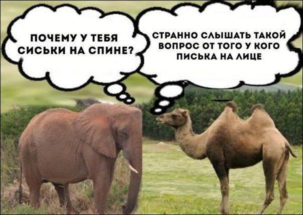 Нестандартный юмор