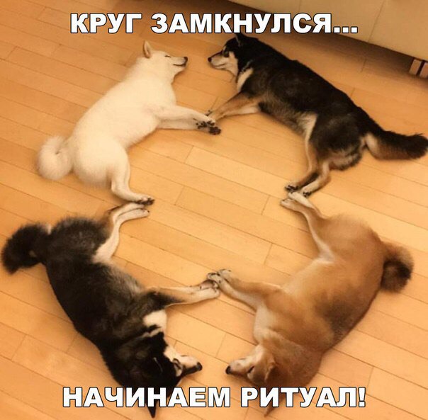 Немного веселых картинок из этих наших интернетов