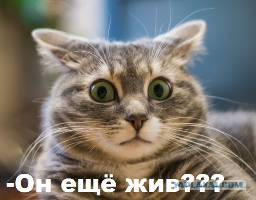 Жена заставляет Валерия Леонтьева уйти со сцены. «Пришло время подумать о себе!»