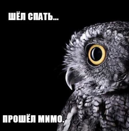 Принцип сосиски