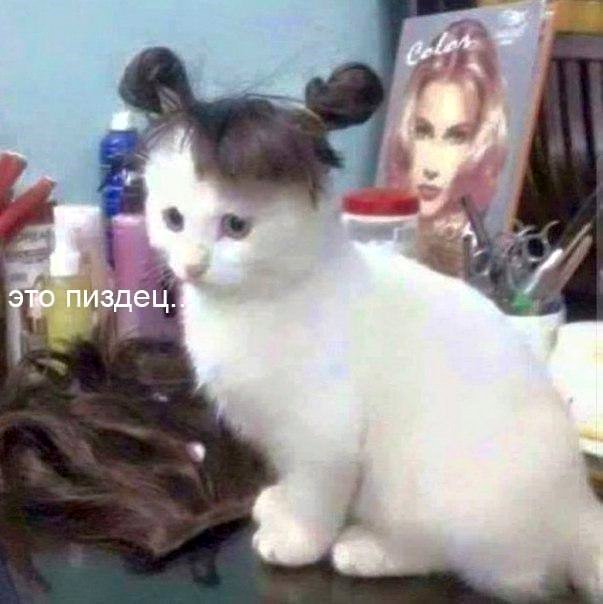 Девушки с татуировками. Одетые и не совсем.