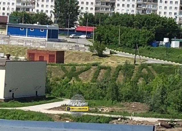 Подборка интересных и веселых картинок