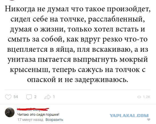 Смешные комментарии из социальных сетей 13.07.2018