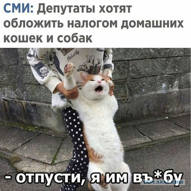 Не очень адекватный юмор