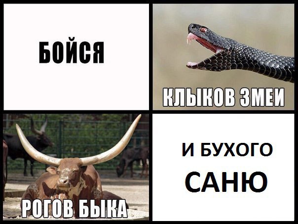 Картинки ниАчем