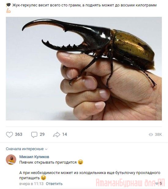 Комментарии к постам в разных группах, которые вызвали улыбку