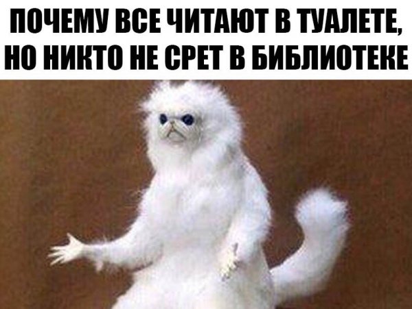 Бредзона 10.01.2020