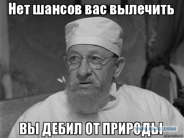 В американском приюте ищут хозяина для Пердиты – «худшей кошки в мире»