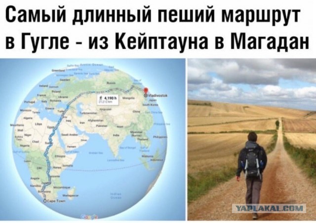 Чуток картинок 19.05.20