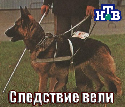 Фотожаба: ТВ программа