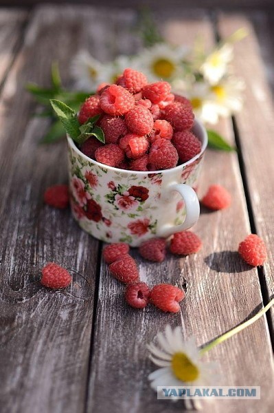 Десерт Соффиони для Маруси:)