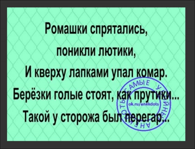 Фотки и картинки: юморные и красивые, забавные и милые 07.10.20