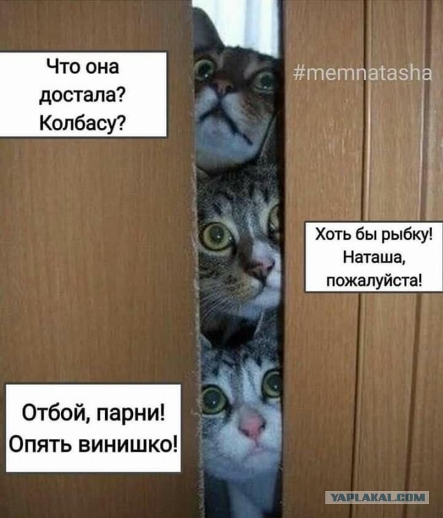 Желание жениться или же женская печалька