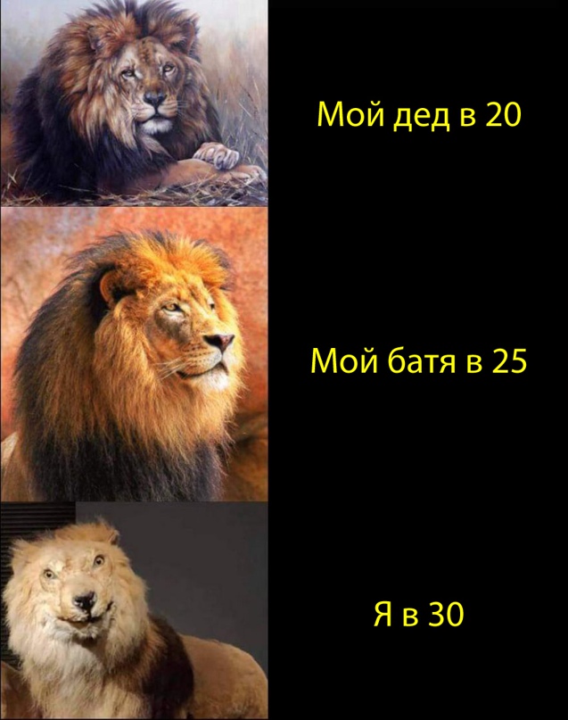 Весёлый полтишок 16.03