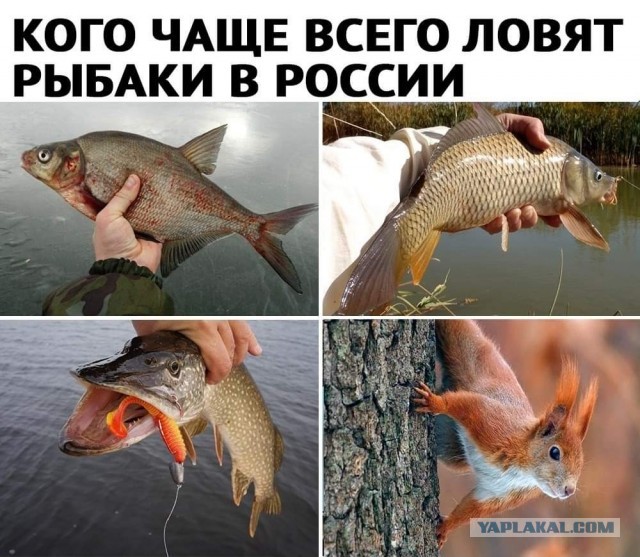 Картинки и мемы для настроения 015