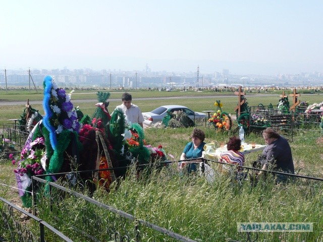 Живу в Красноярске