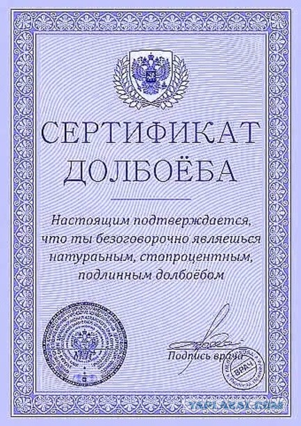 На Приморском шоссе женщина на "Субару" сбила пятиклассницу на переходе — девочку увезли в больницу в тяжёлом состоянии.