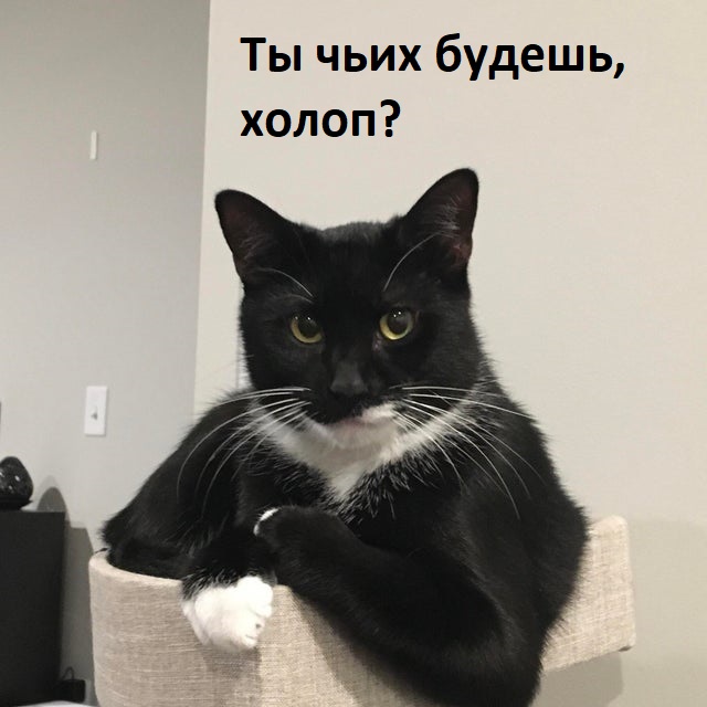 Здравствуйте