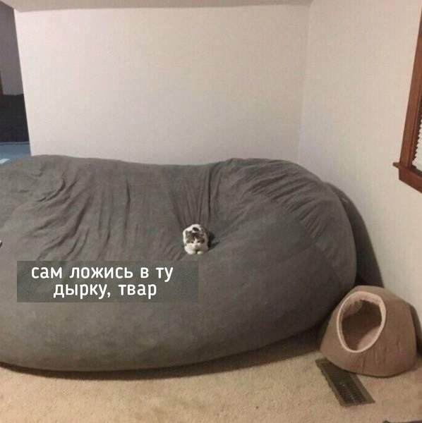 Юмор и прикольные картинки 11.10.2021
