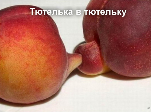 Так себе картинки 04.12.21