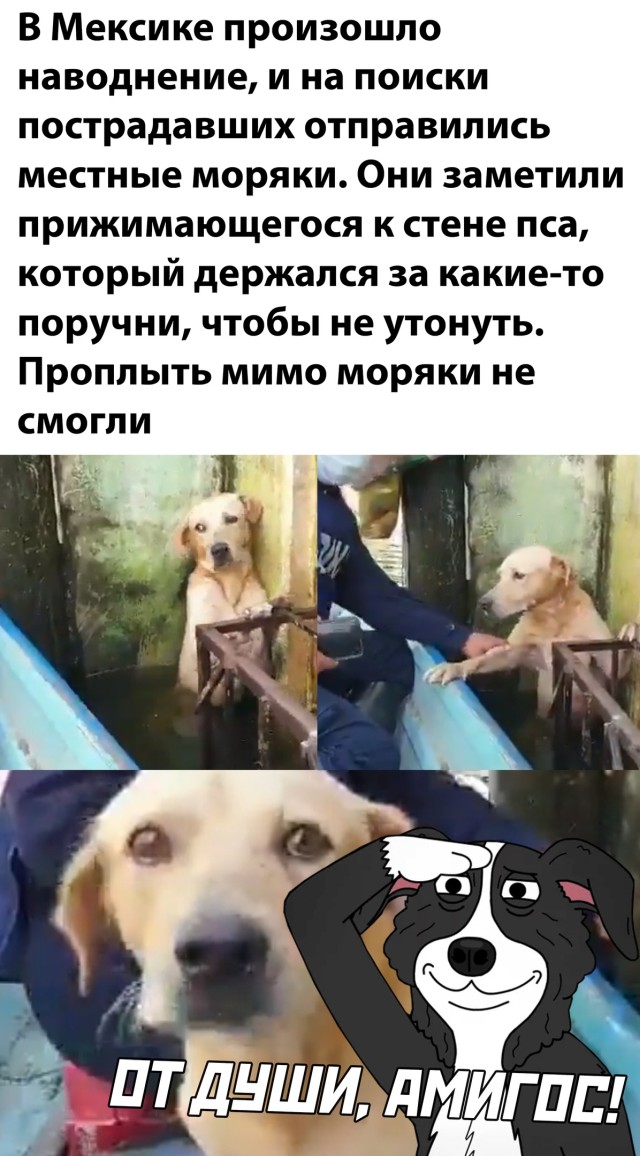 Картинки и мемы для настроения  - 27