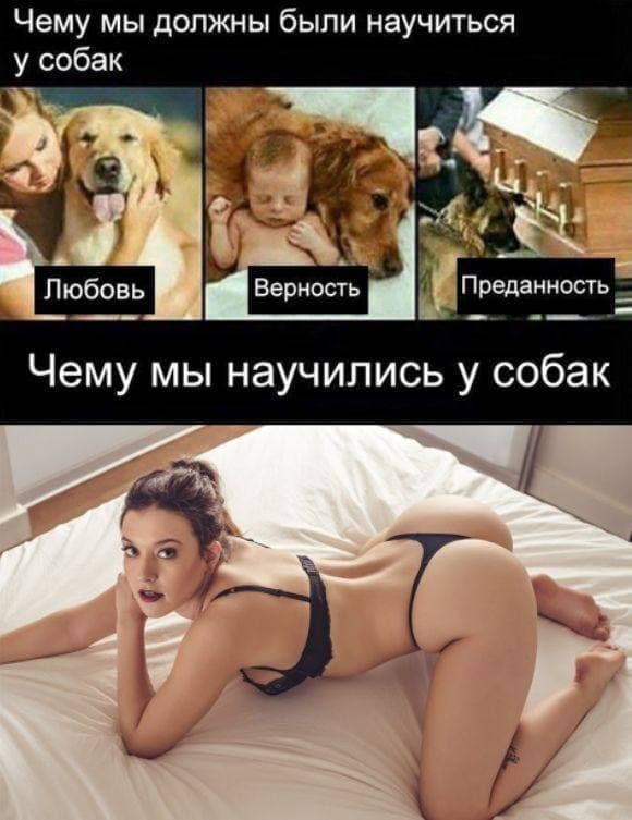 Пятница. И немного слегка пошлых картинок с надписями и без 16+ (25.03)