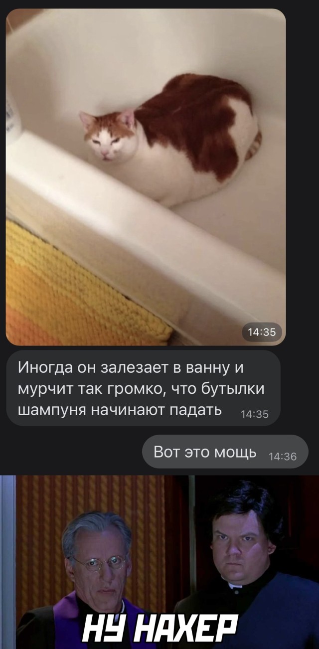 Так себе картинки 25.05.22