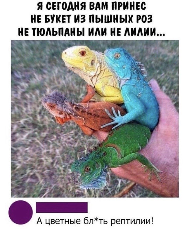 Немного юмора, гуманитарного - 4