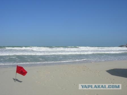 Чуваки, первый раз в жизни заграницу!