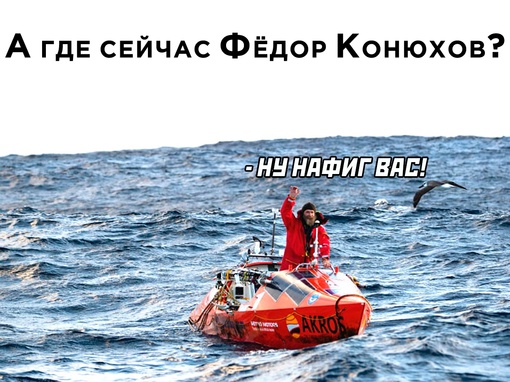 Картинки и мемы для настроения - 111