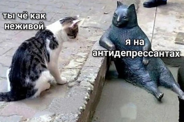 Прикольные и просто красивые картинки 25.10.2022