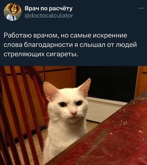 Нуштош 10.04.2023
