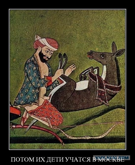 Обращение дагестанца к землякам