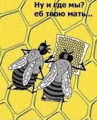 Картинки от Скодеро-2