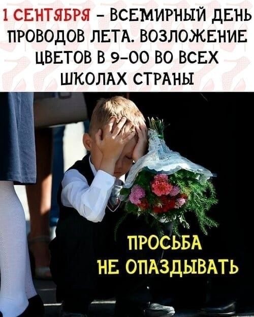 Прикольные и просто красивые картинки 01.09.2023
