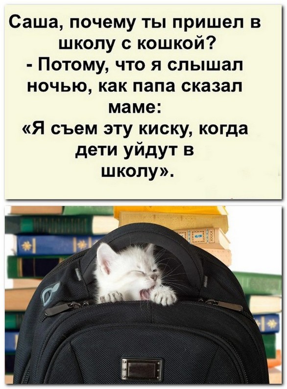 Анекдоты и шутЯПки с картинками