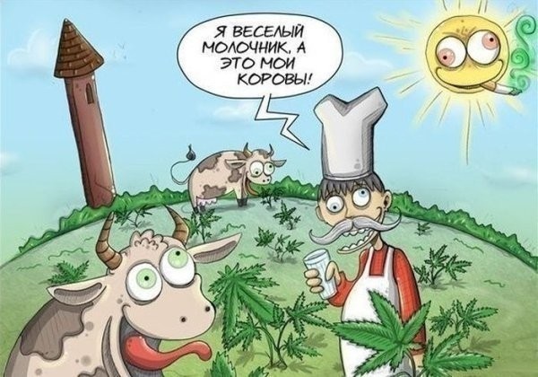 Весёлый бонус