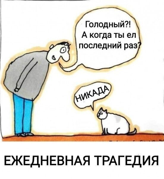 Ну и сволочь ты, Наташа