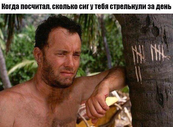 Весёлый полтишок 27.08.24