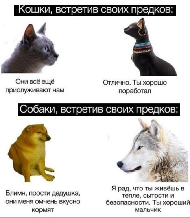 Картинки разные с надписями и без
