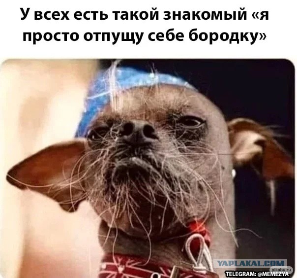 Это поможет?