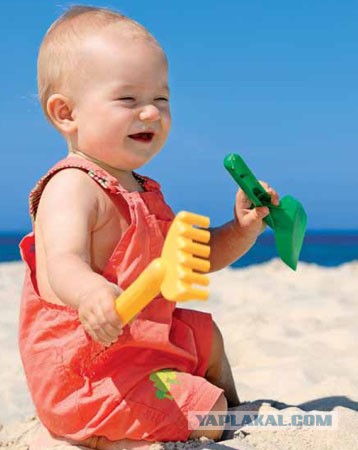 Перепись профессий ЯПа