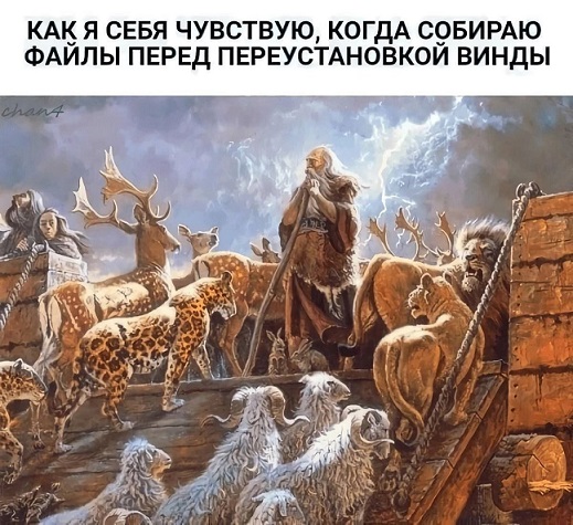 Моя любимая теория заговора