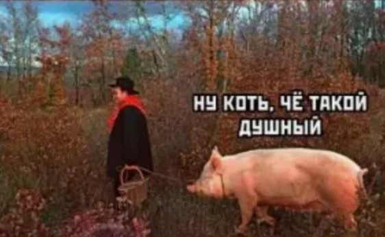 Маски-Шоу или Конкурс Короткого Креатива №31