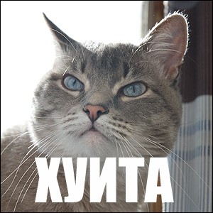 Пермяк заснял тарелку НЛО и инопланетянина