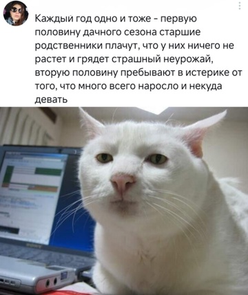Весёлый полтишок 09.07.25