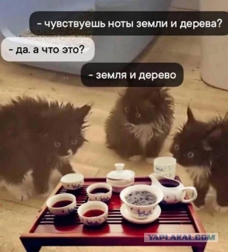 Прикольные и просто красивые картинки 07.10.2025