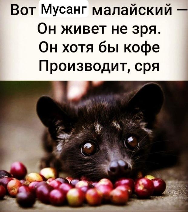 Картинки для деградации 60 (разной степени свежести)